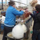 클로버민박 이미지