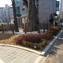 삼막