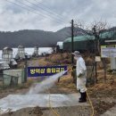 준수농장 이미지