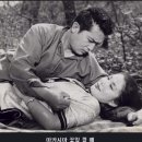 나는 탤런트였었고 작가이다. 이미지