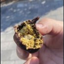 예은교회 | 사소한 것에 늘 즐거움을 느껴야함 그래야 비로소 살아갈수 있음 1월