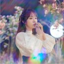 문정중학교(본관) 이미지