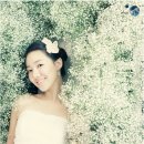 호박2호점