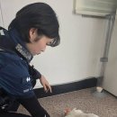 당감지구대 이미지