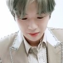 그라치아 이미지