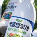 기영농장 네이버블로그
