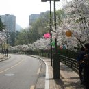 번개울천 네이버블로그