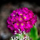 당신의봄날 - 창원시 진해구 냉천로 112-1 | 당신의봄날