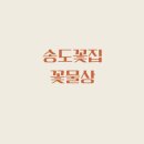 꽃물상 - 연수구 해돋이로 104 | 꽃물상