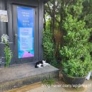 🥳생일 맞이 1박2일 당진여행1-아미미술관, 해어름, 삽교호놀이농산
