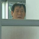 팰롱팰롱 이미지