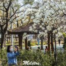 만날근린공원 이미지