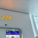 리코메드 | 7살 아이와 함께하는 이시가키여행-1,2일차