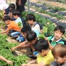 죽산초등학교 이미지