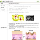 쓰시는제품에 섞어쓰는 저분자 콜라겐, 히아루론산, 보톡스 이미지