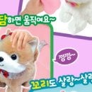 주영카페 이미지