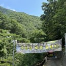 계곡 | 남양주 축령산 계곡가든 후기 🌿 예약, 주차, 샤워실, 대리운전까지!