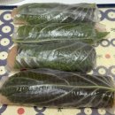 강레오의차돌집 - 양천구 목동로 163 | 👨‍🍳 2026 January recipe list (ft. 흑백시즌2)