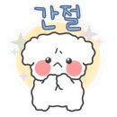동동점핑체온다이어트