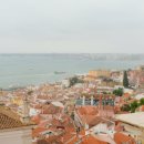 빨강지붕식당 | 포르투갈 자유여행 5박6일 일정 코스 총정리 리스본 신트라 포르투 2026