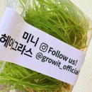 미니헤어 - 창원시 마산합포구 | 미니헤어