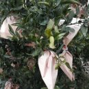 이기철농장 이미지