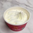 요아정안양 | 🍦 인덕원 요아정 안양 인덕원점 요거트 아이스크림 포장 후기 (토핑 DIY 가능)