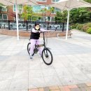 닥터바이크 네이버블로그