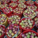 에바다1농장 이미지