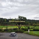 우렁찬 명품한우 이미지