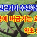 장수녹용 이미지