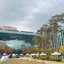 서울소나무의원 이미지