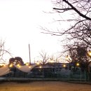 올레 | 포항 반려견 동반 숙소 월포해수욕장 올레 펜션 후기