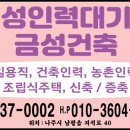 금성인력 네이버블로그