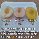 코루츠