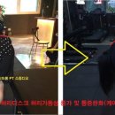 데일리PT스튜디오 이미지