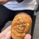애견마을 이미지