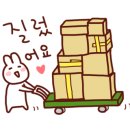 신세계강남핏플랍