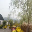 옥길농장 이미지