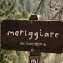 메리지아레 이미지