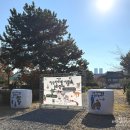 반려식물키우기 | 창원 반려동물 문화축제 2025, 용지공원에서 함께하는 반려 행복의 하루!