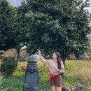 성은목장 이미지