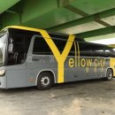 옐로우시티 이미지