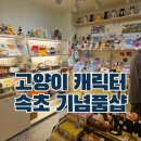강아지랑고양이 | 속초 해수욕장 기념품샵 고양이골목415 귀여운게 최고야!