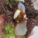 싱싱회수산 물회전문점 이미지