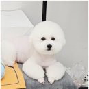 까미랑몽이