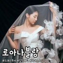 로아나블랑 드레스 투어 후기