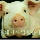 한상바다 이미지