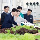 스마트팜 이미지