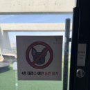 댕댕쓰 | 속초 애견동반 오션뷰 유투베이커리카페 브런치 후기